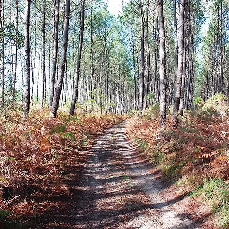 Les Hébergements Nature Et Bien-etre Frühstückspension