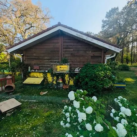 Les Hebergements Nature Et Bien-etre