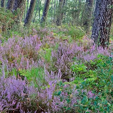 Les Hebergements Nature Et Bien-etre Bed & Breakfast