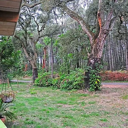 Bed & Breakfast Les Hebergements Nature Et Bien-etre 3*